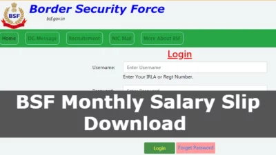 BSF Pay Slip PDF