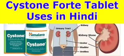 Himalaya Cystone Tablet Uses in Hindi